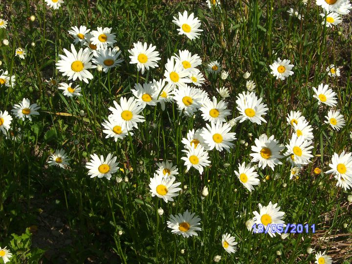 BILD2945