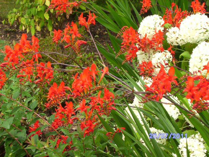 BILD3024.JPG