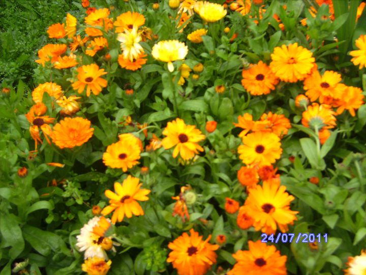 BILD3026.JPG