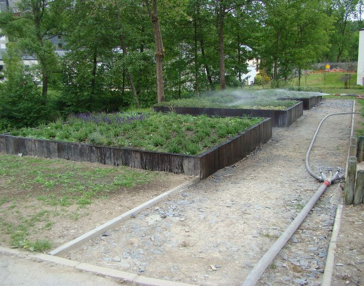 DSC02477