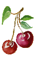 cerise