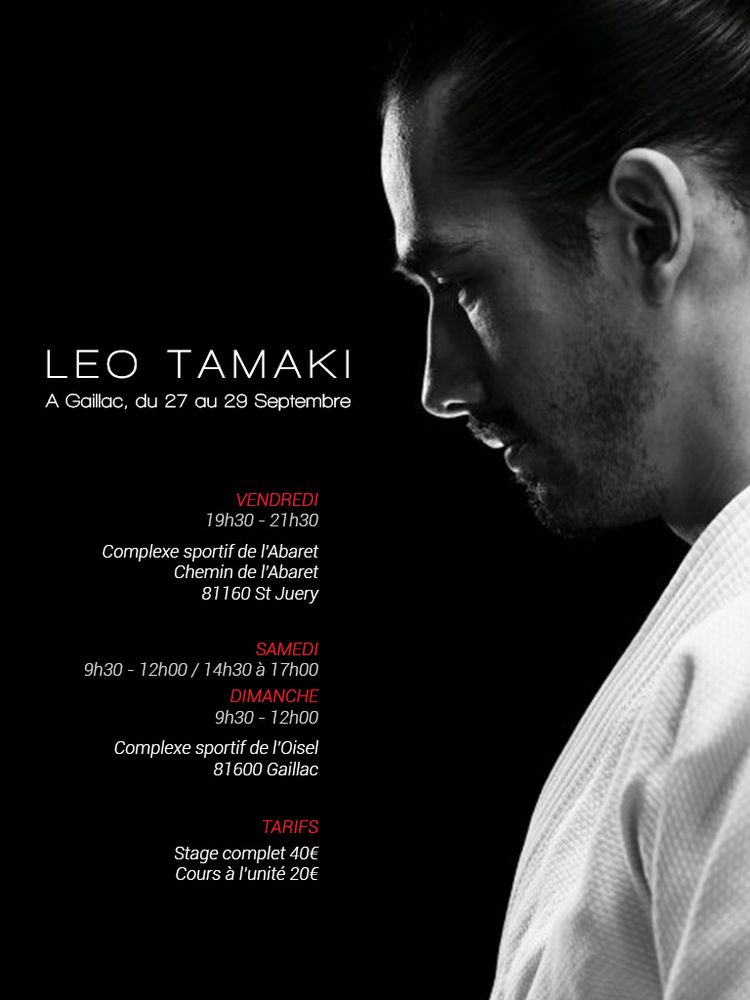 stage-leo-tamaki-albi-2013