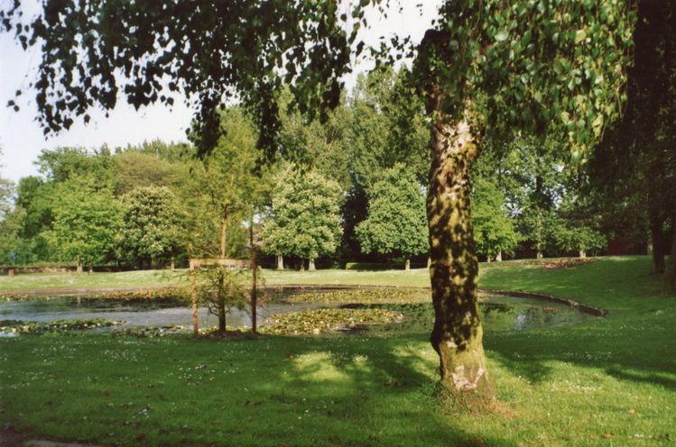 img384.jpg