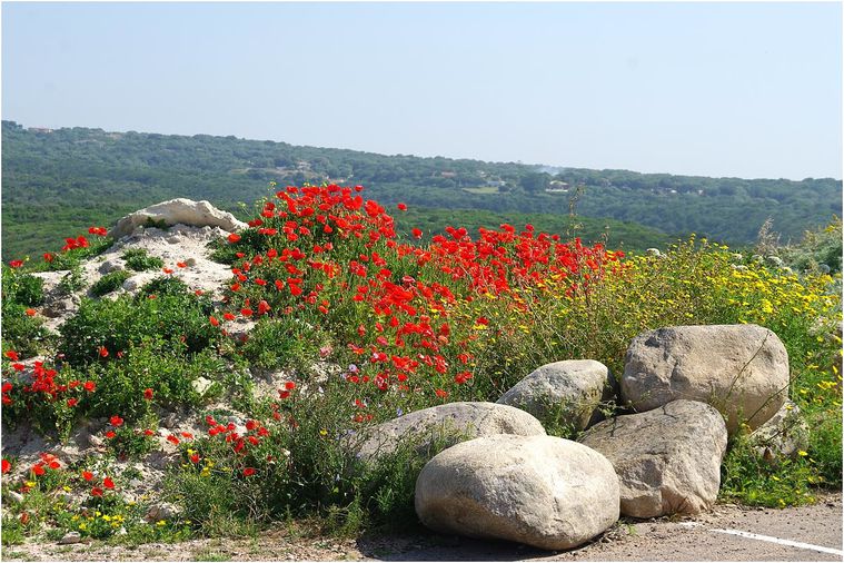 bonifacio-cimetiere-23