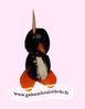 pingouin 03