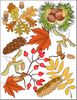 herbst-17.jpg