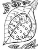 Coccinelle-06.jpg