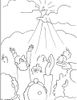 Ascension-23.jpg