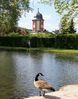 Hofgarten kleiner see1