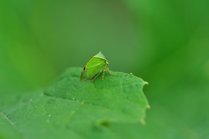 blog-4-2010 9562