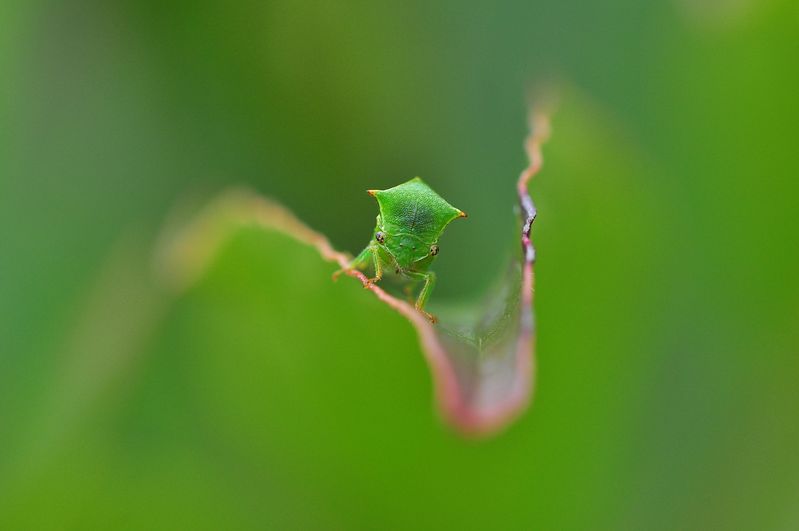 blog-4-2010 9779
