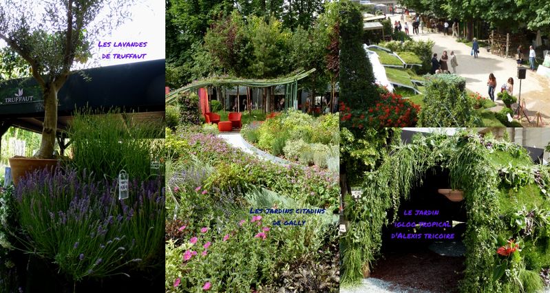 jardins jardin 2012 truffaut