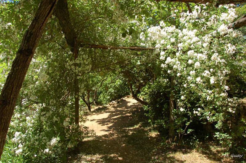 jardins-cadiot-2865.jpg