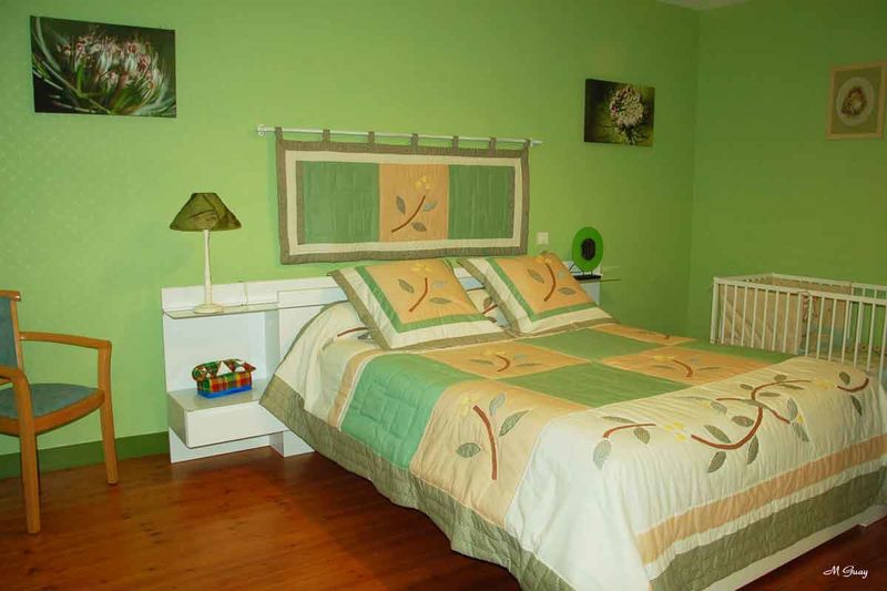 chambre-nature-6500.jpg