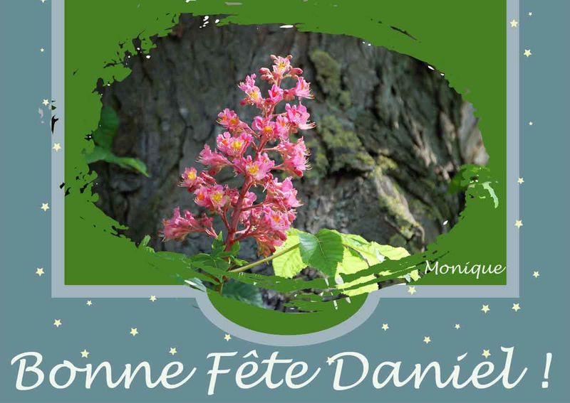 fleur-fete-daniel.jpg