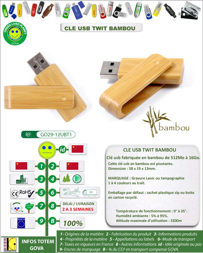 Cle usb pivotante bambou ref twit bambou ref-GO29-12UBT1