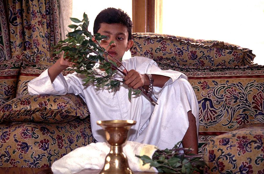 Seance de Qat au Palais, Jeune Cheikh