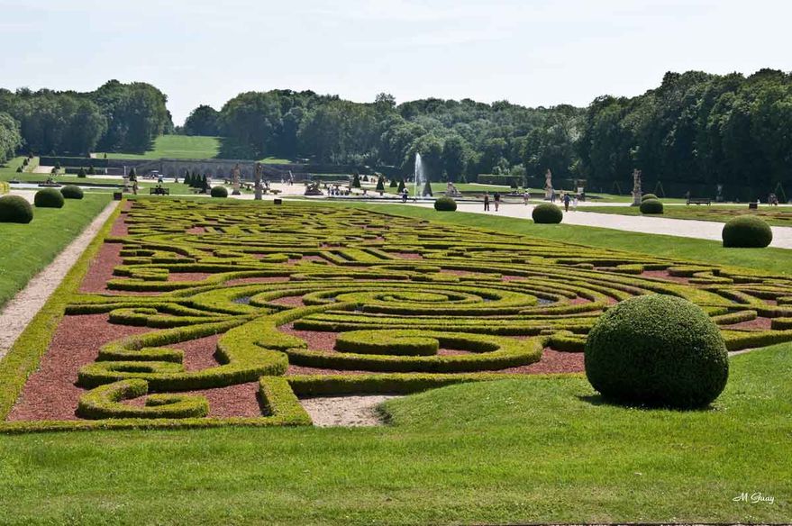 arabesques-de-buis-5078.jpg