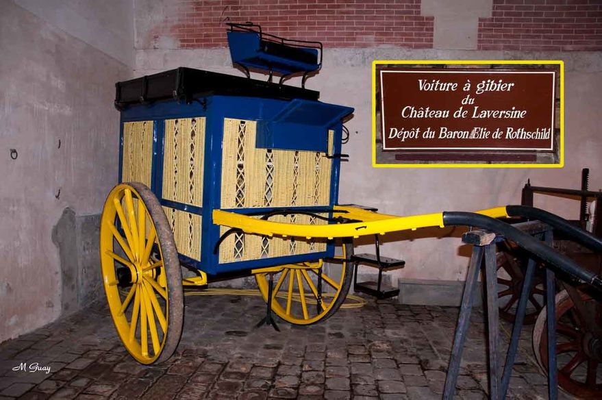 voiture-a-gibier-4843.jpg