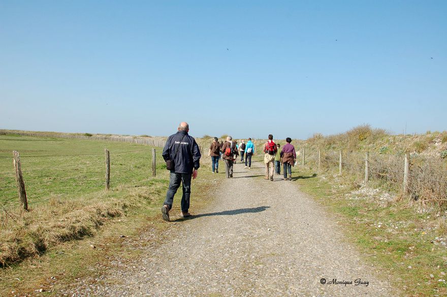 chemin-2636.jpg