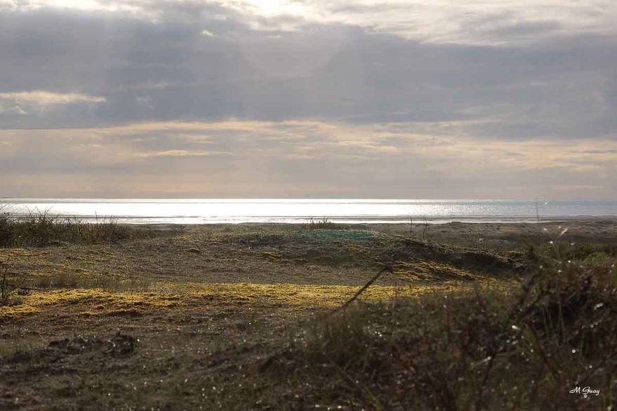 baie-de-somme-8584.jpg