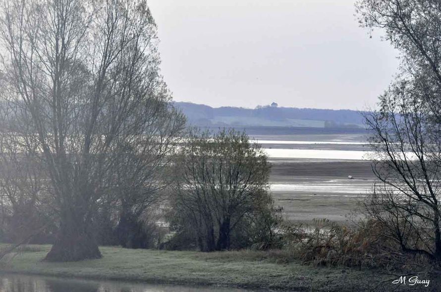 matin-lac-du-der-2487