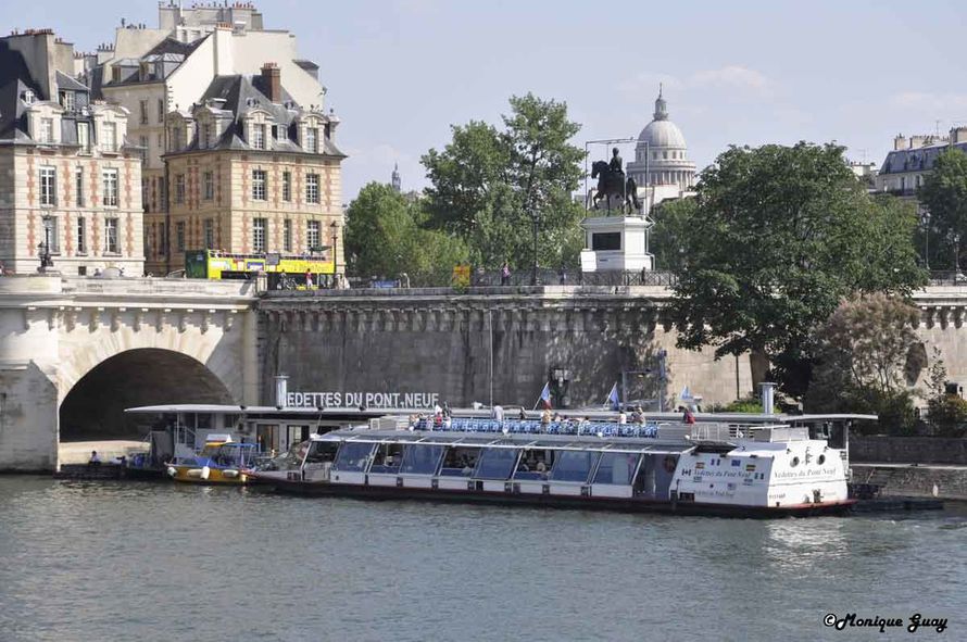 DSC2797-mgalweb vedettes du Pont Neuf