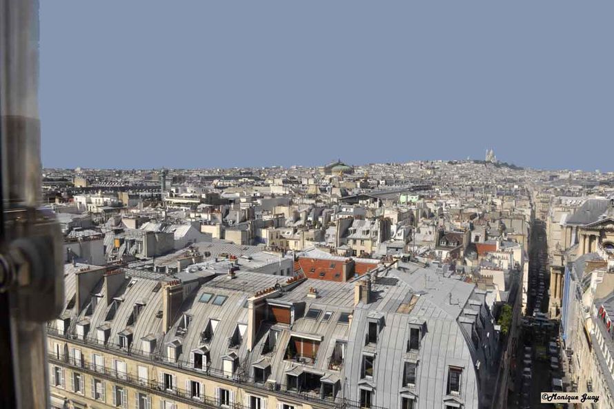 DSC2767-mgalweb toits de Paris de la grande roue