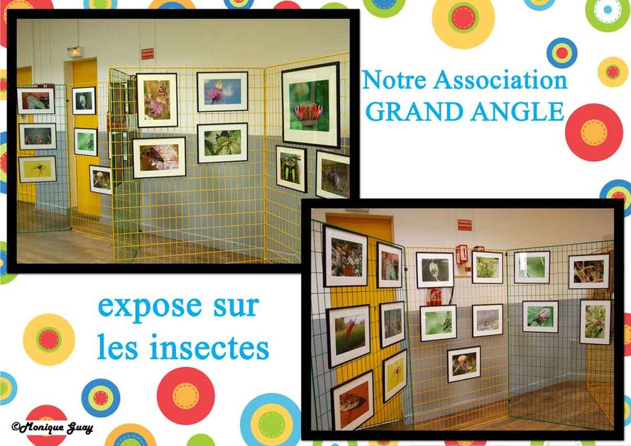 exposition-1