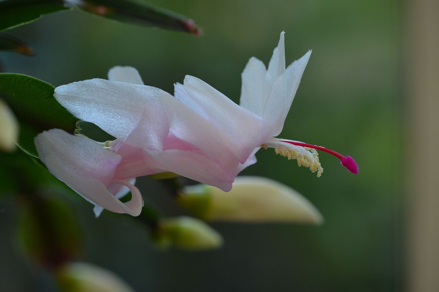 blog5-2014 4913