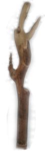 danseuse 4