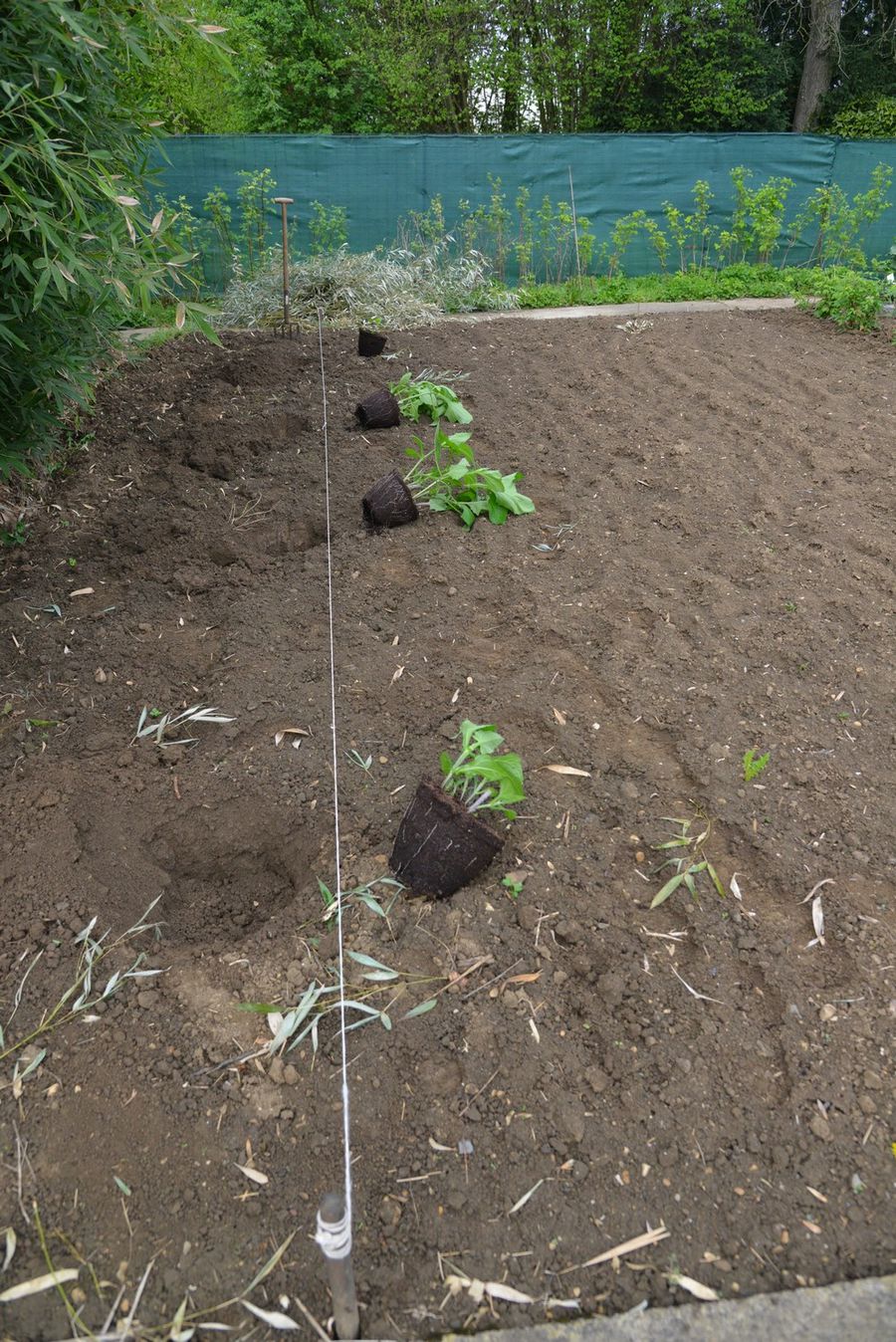 Blog-1-2013 4305