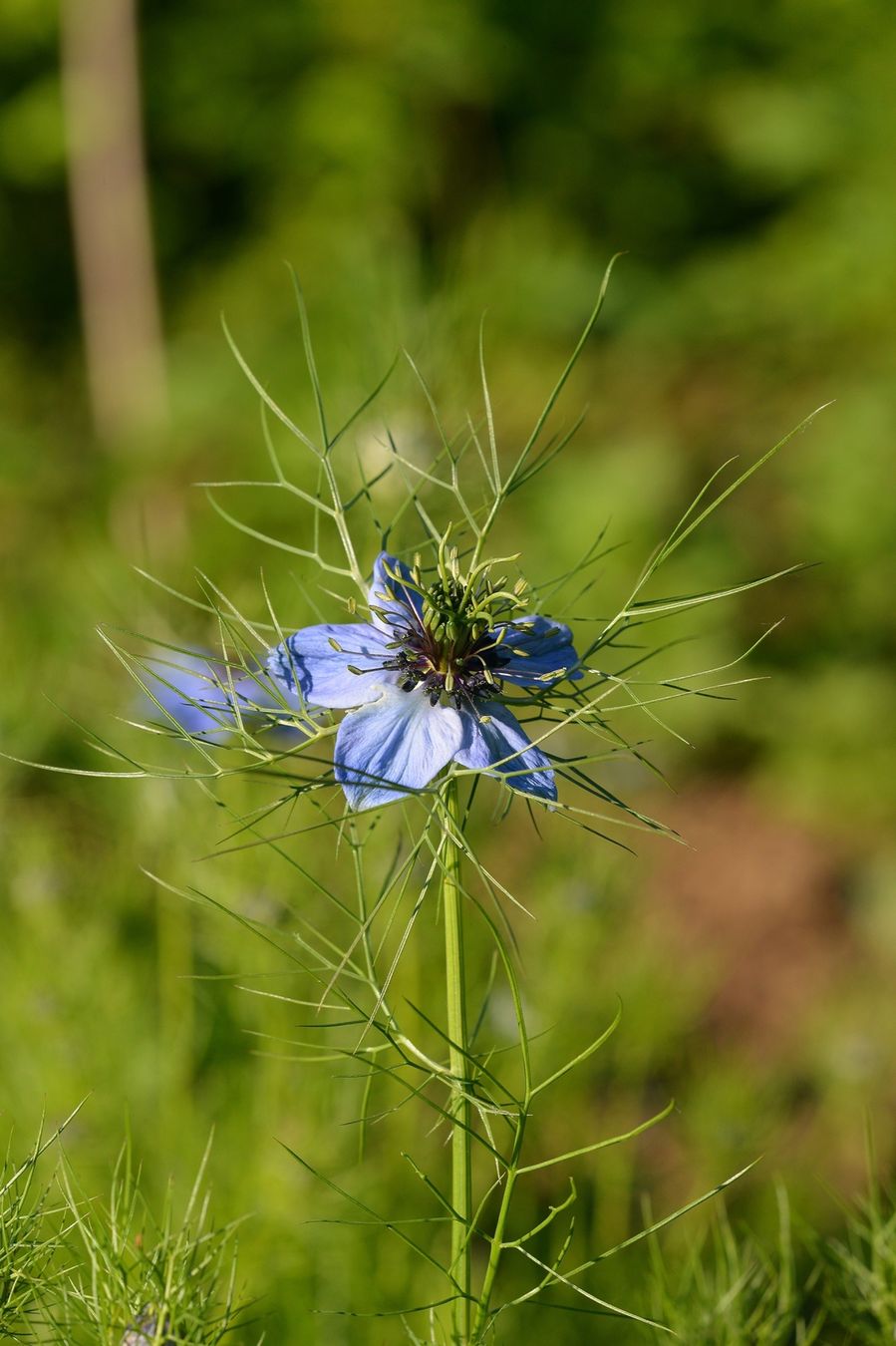Blog-2-14 4020