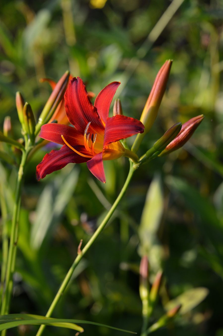 Blog-2-14-7801.JPG