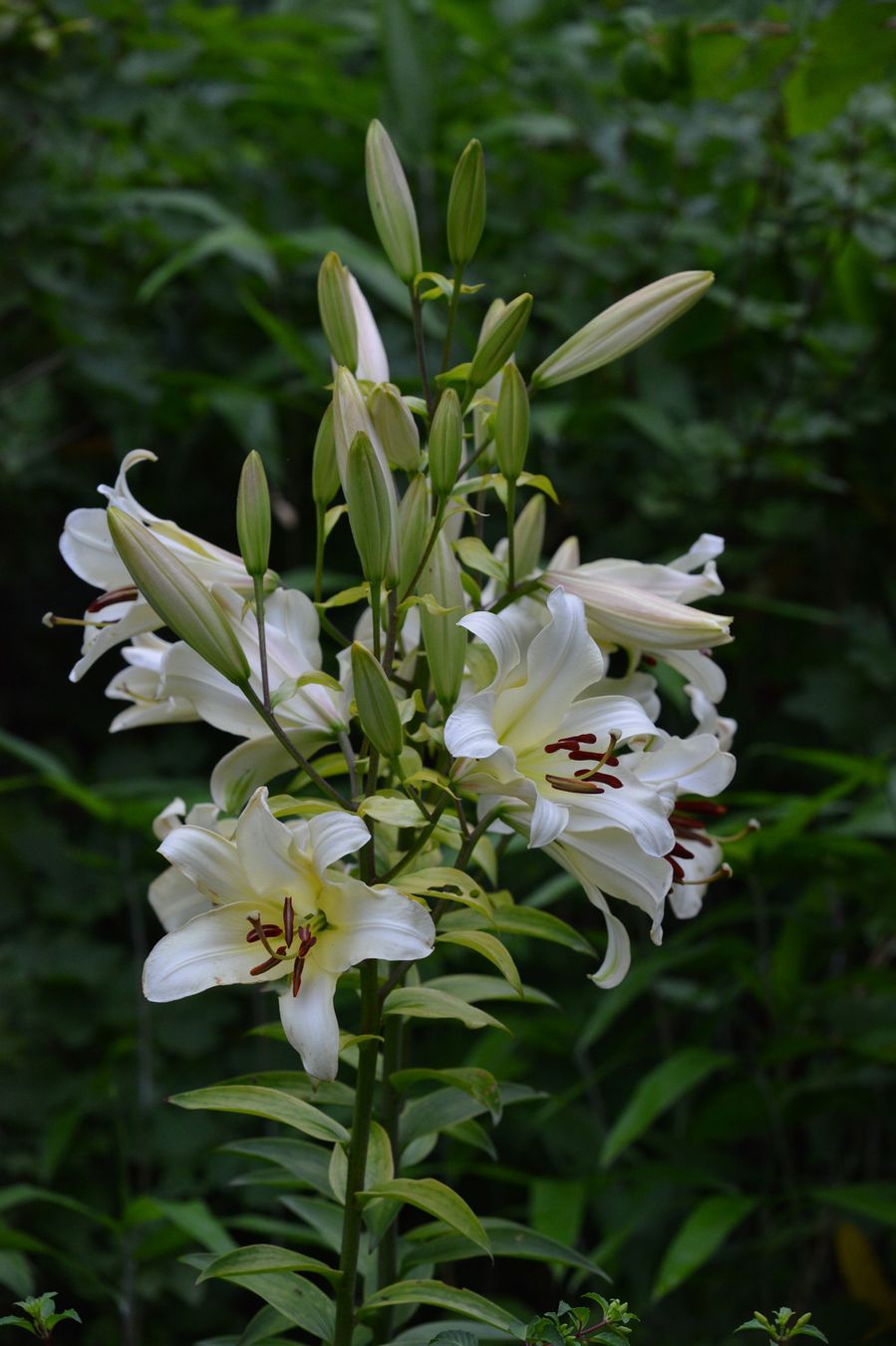 blog3-2014 0990