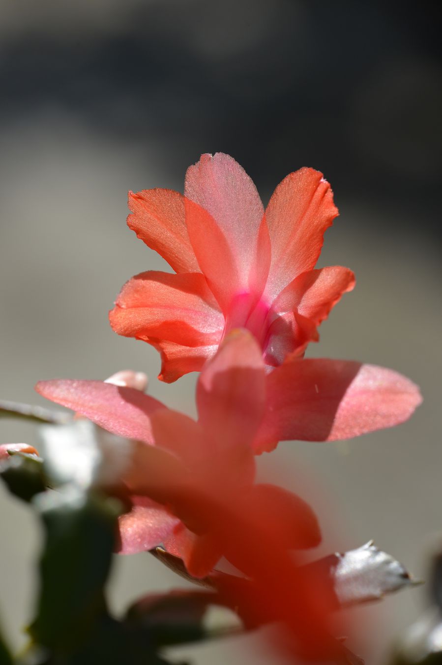 blog5-2014 4957