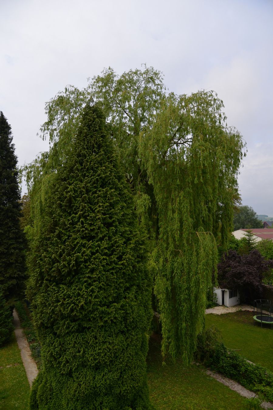 blog6--2014-1682.JPG