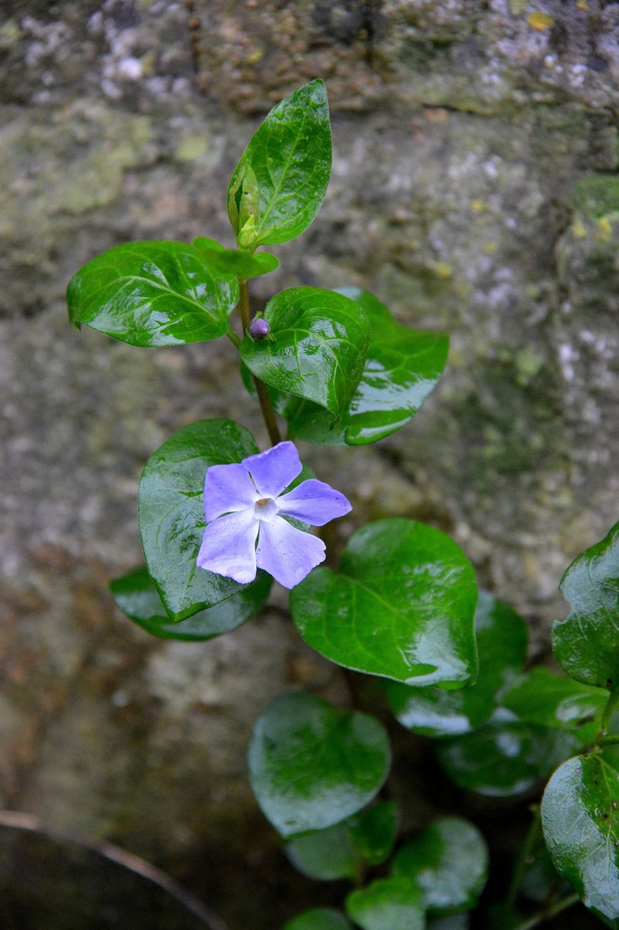 blog6--2014-6315.JPG