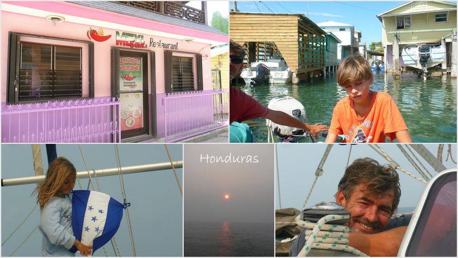 2011 05 HONDURAS, guanaja, Roatan, dauphins1