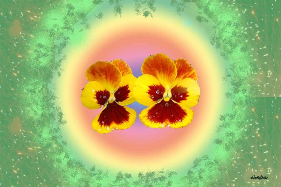 2 pensées cercles -1 modifié-1