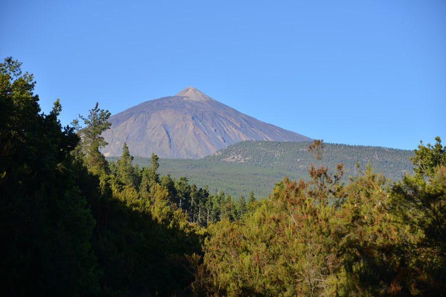 blog4-2014 3280