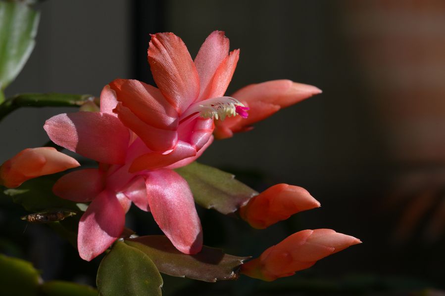 blog5-2014 4925