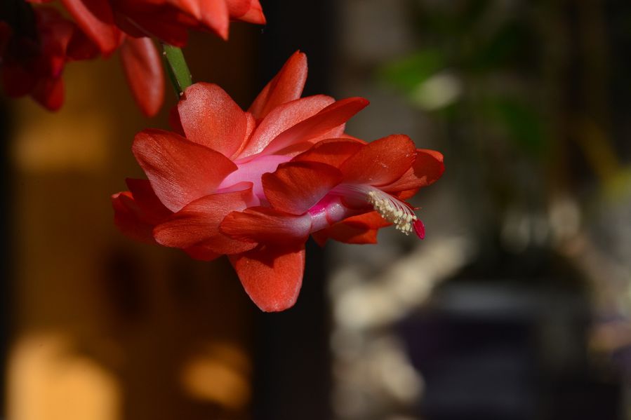 blog5-2014 5875