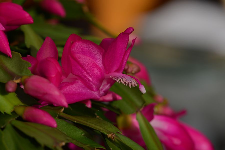 blog5-2014 5896