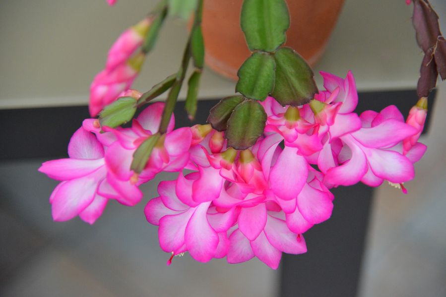 blog5-2014 5975