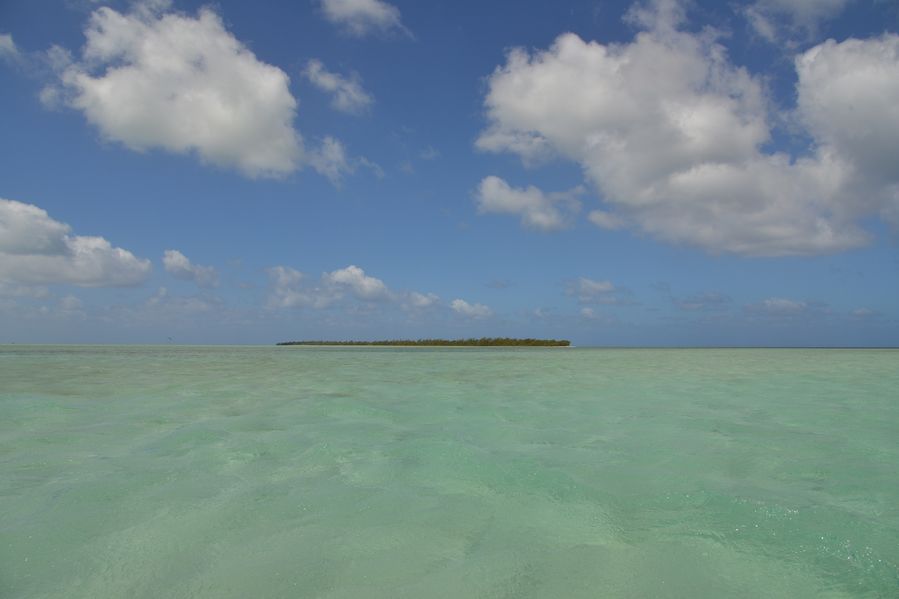 blog6--2014 5393