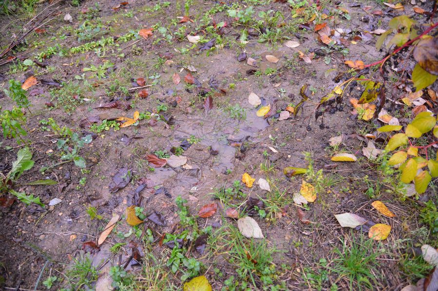 blog6--2014 6280