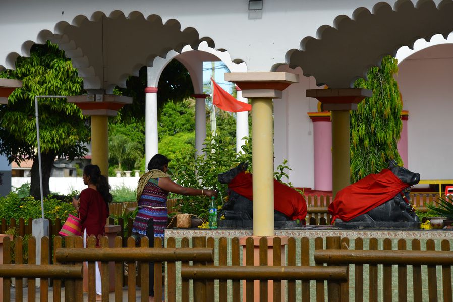 maheswarnath 3270