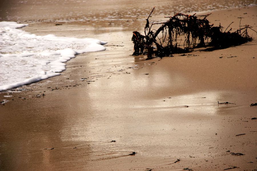 grande-maree-plage-source-pornic-026.jpg
