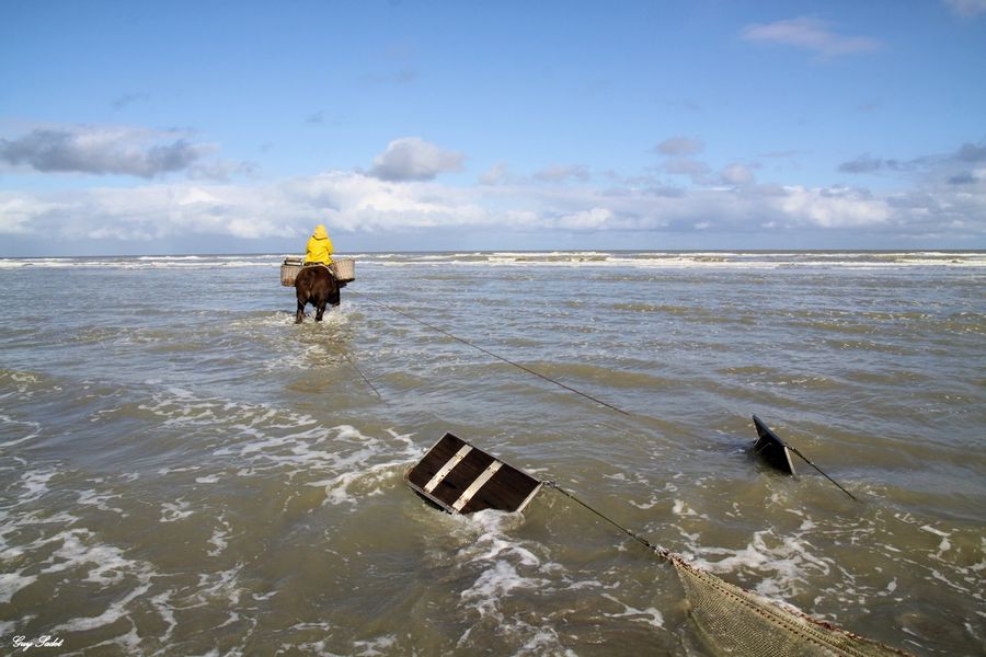 OOSTDUINKERKE 9